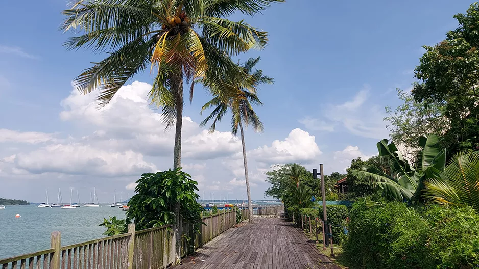 Changi Boardwalk